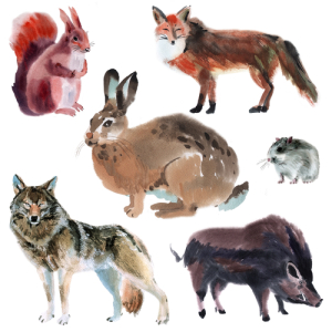 Set of forest animals. Watercolor illustration in white background