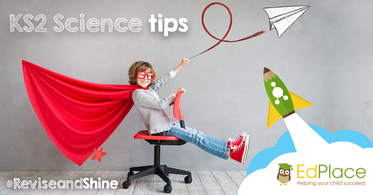 KS2 Science tips