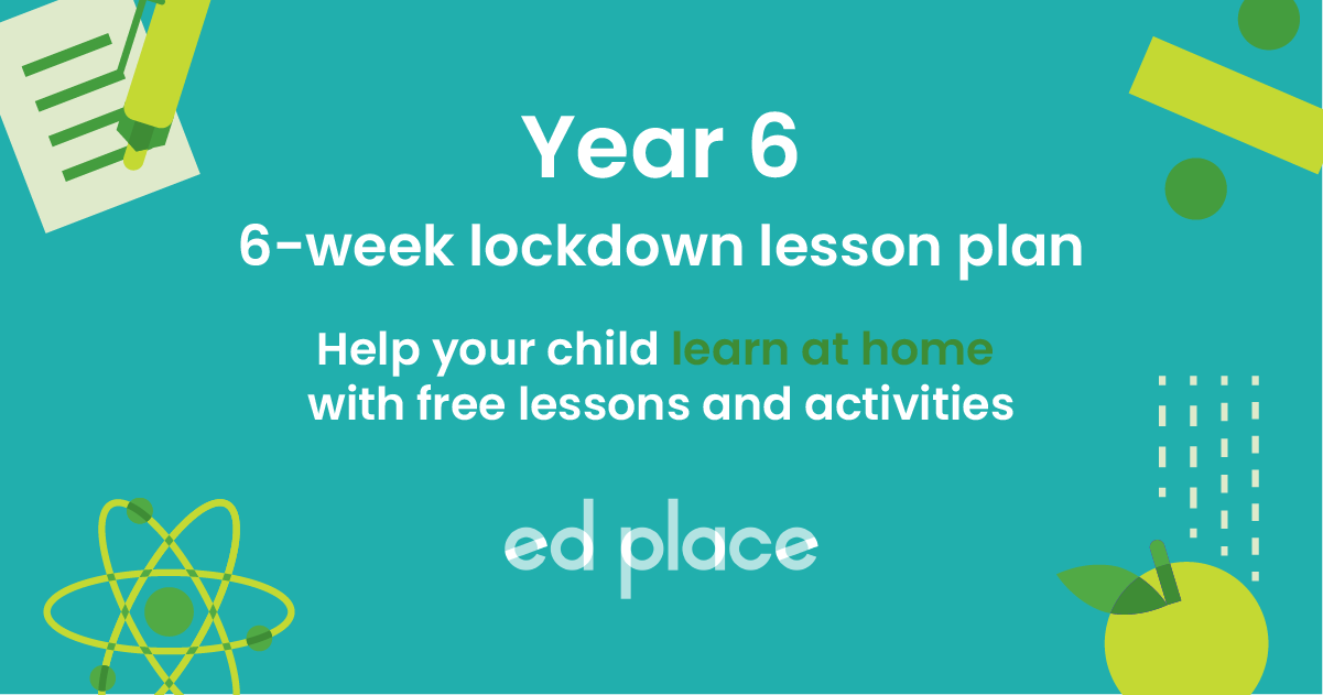 Year 6 learning plan